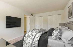 Suitland apartment for rent - Spacious and airy bedroom with lots of natural light.
