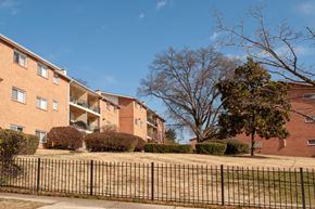 Suitland apartment for rent - Neatly landscaped apartment grounds with green lawns, trees, and seasonal plants