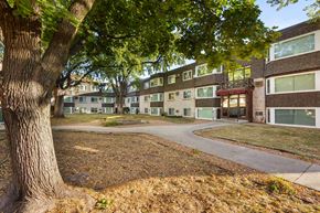 Minneapolis apartment for rent - A tree is in the foreground of a residential area.
