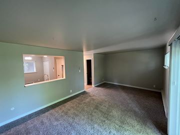 Fort Collins apartment for rent - a living room with green walls and carpet and a large window