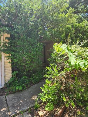 Norman house for rent - the entrance to the house is hidden by trees and bushes