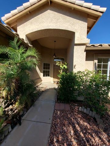 Chandler house for rent - the front of a house with a walkway and plants