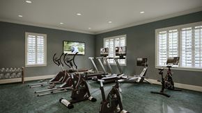 Commack apartment for rent - a gym with a lot of workout equipment in it