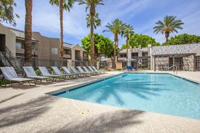 Glendale apartment for rent - A swimming pool surrounded by palm trees and lounge chairs.