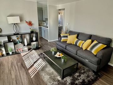 Colorado Springs apartment for rent - a living room with a gray couch and yellow pillows