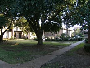 Jackson apartment for rent - a tree in a yard in front of a house