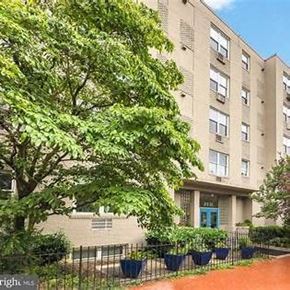 Washington apartment for rent - A tree in front of a building with a blue door.