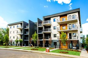 Edmonton apartment for rent - a row of apartment buildings with grass and trees