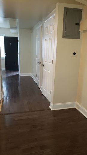 Washington apartment for rent - a view from the living room into the hallway with wood flooring and white doors