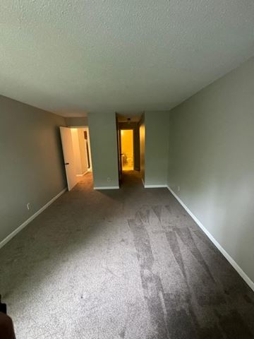 Little Canada house for rent - a living room with a carpeted floor and an empty room