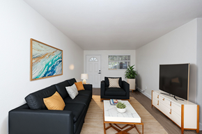 Denver apartment for rent - A living room with a black couch, a painting on the wall, and a television.