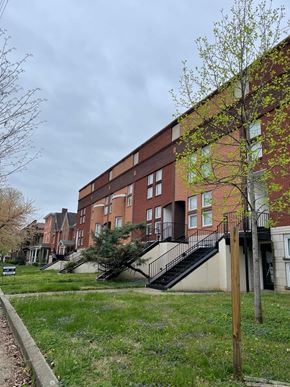 Louisville apartment for rent - A tree with green leaves stands in front of a red brick building.