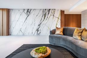 Los Angeles apartment for rent - A round tray with a bowl of green moss sits on a black tray on a grey couch.