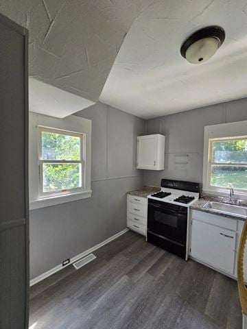 Cincinnati house for rent - a small kitchen with a stove and a sink