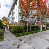 Victoria apartment for rent - A sidewalk with a tree with red leaves in front of a white building.