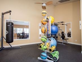 Las Vegas apartment for rent - a home gym with weights and a punching bag