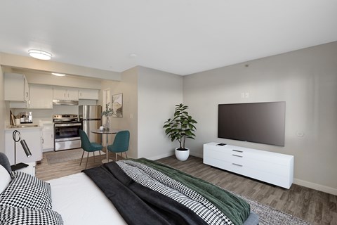 Floor plan for studio, 1 bath, 375 sqft