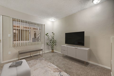 Floor plan for studio, 1 bath, 230 sqft