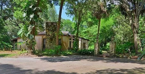 Winter Garden house for rent - a small house in the middle of the woods