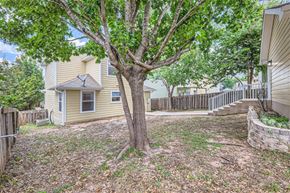 Austin house for rent - a yard with a tree in front of a house