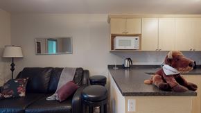 Fort Mcmurray house for rent - Executive Suites - Downtown - 4th Floor Equipped - Dec 1, 2025