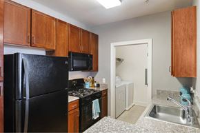 Dulles apartment for rent - a kitchen with a black refrigerator and a sink