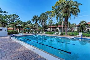 Bradenton house for rent - a large swimming pool with palm trees and buildings in the background