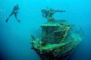 Cardinal apartment for rent - A diver swims next to a large, rusted shipwreck.