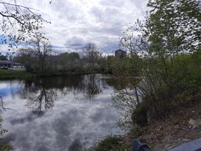 Chesterville apartment for rent - A serene lake surrounded by trees and a cloudy sky.