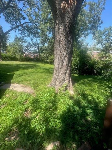 Saint Louis house for rent - a tree in the middle of a grass field
