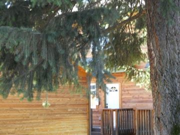Coeur D' Alene house for rent - a cabin with a pine tree in front of it