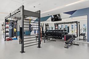 Austin apartment for rent - A gym with a variety of equipment including a squat rack, bench press, and a punching bag.