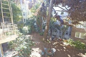 San Francisco apartment for rent - A backyard with a tree, a chair and a table.
