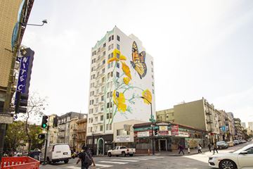 San Francisco apartment for rent - A street scene with a large building with a mural of a butterfly on it.