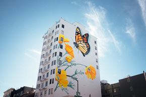 San Francisco apartment for rent - A large mural of a butterfly and flowers is painted on the side of a white building.