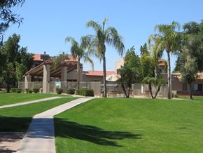 Glendale apartment for rent - a building with palm trees and a sidewalk