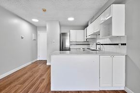 Calgary apartment for rent - 1114 16 ave sw