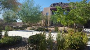Phoenix apartment for rent - a courtyard with plants and a building in the background