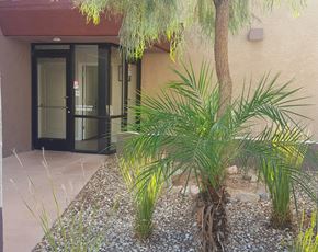 Phoenix apartment for rent - a palm tree in a courtyard in front of a building