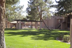 Phoenix apartment for rent - a courtyard with a lawn and trees in front of a building