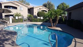 Phoenix apartment for rent - a swimming pool in front of a house with a palm tree