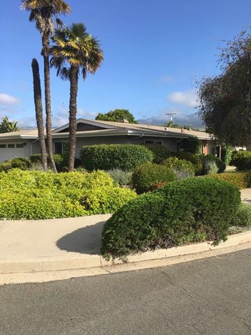 Santa Barbara house for rent - A house with a palm tree in front of it.