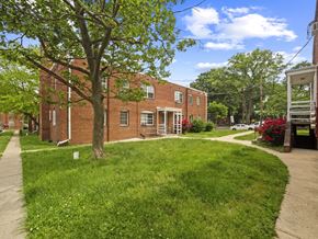 Washington apartment for rent - A tree in front of a red brick building.