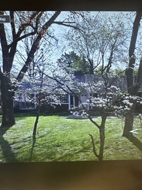 Knoxville house for rent - A tree with white flowers is in the foreground of a grassy area.