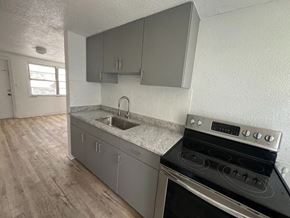 Palmetto apartment for rent - A kitchen with a stove, sink, and cabinets.