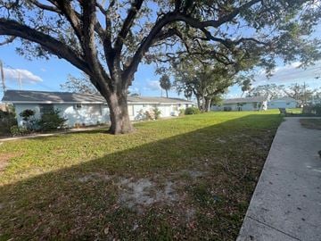 Palmetto apartment for rent - A tree in a grassy area with houses in the background.