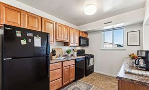 Baltimore apartment for rent - a bedroom with a bed and a closet