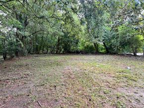 Gulfport house for rent - a grassy field with trees in the background
