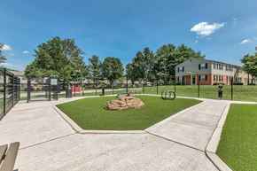 Severn apartment for rent - our apartments have a spacious dog park with grass