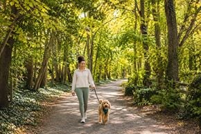 Catonsville apartment for rent - A path through a forest with trees on either side.